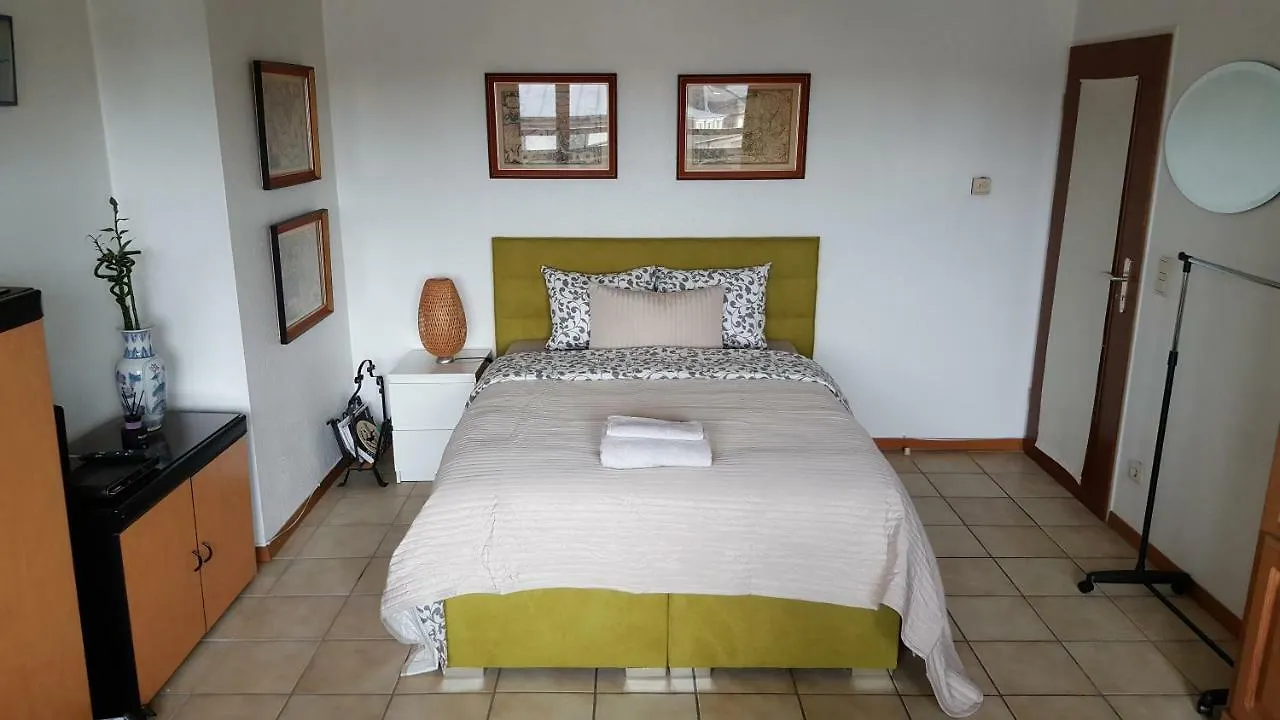 Guest House Close To Train Station لوكسمبورغ